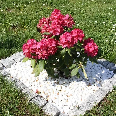 Appartement Diamond House Deluxe 5 *