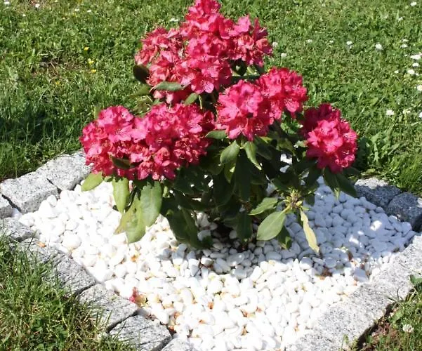 Apartment Diamond House Deluxe 5 *